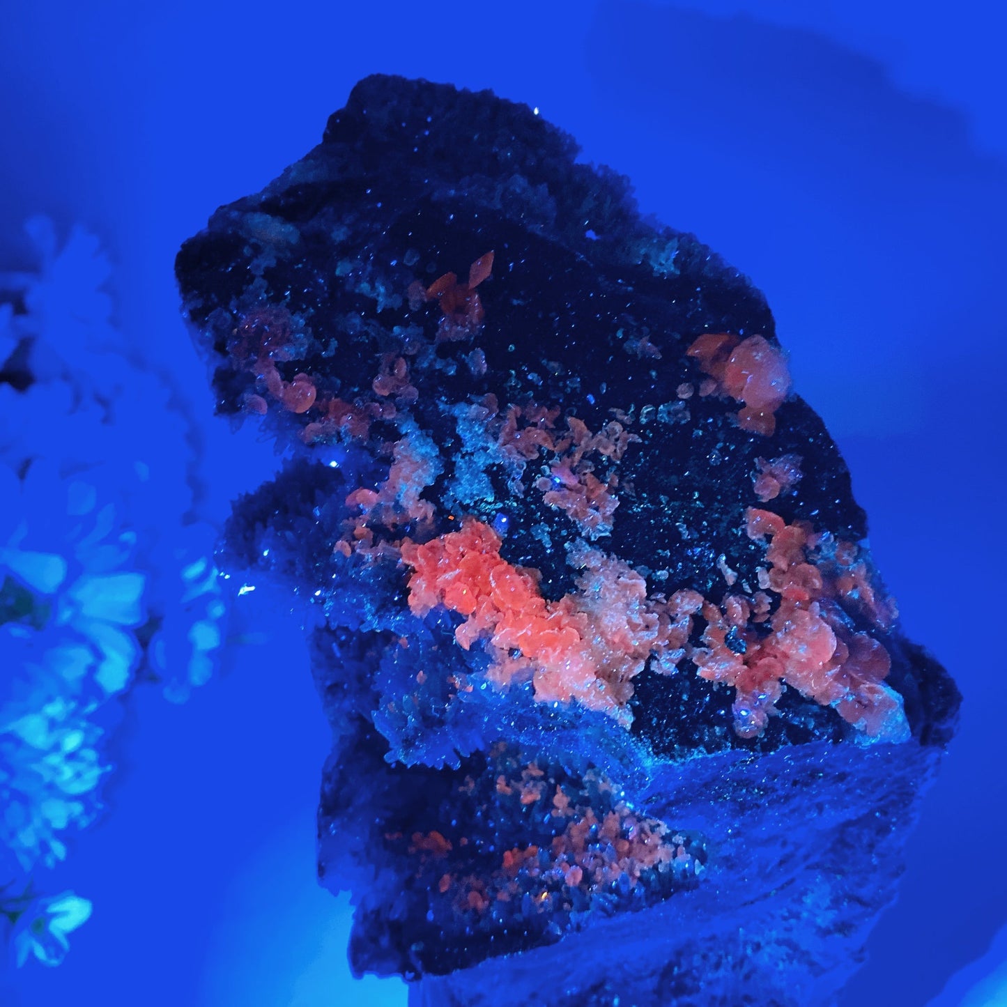 18cm Large Unique Sphelarite Grow with UV Reactive Calcite Skull Carving Crystal Healing Bulk Wholesale