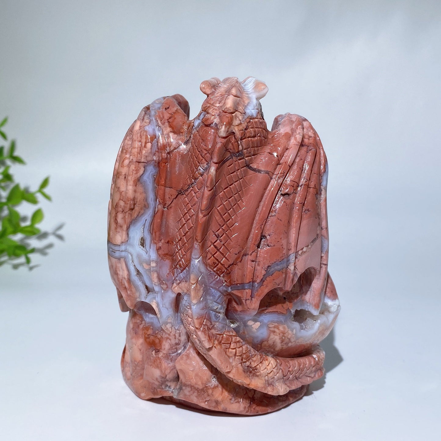 4.7" Unique Druzy Cotton Candy Agate Dragon Carving Crystal Healing Bulk Wholesale