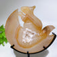 Druzy Agate Squirrel Carving with Stand Free Form Crystal Healing Bulk Wholesale