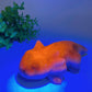 5.6" Crystal Salamander Carving Crystal Healing Bulk Wholesale