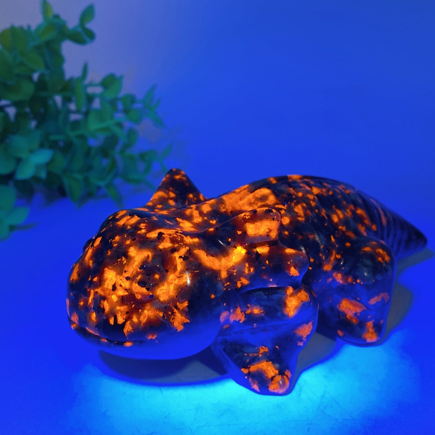 5.6" Crystal Salamander Carving Crystal Healing Bulk Wholesale