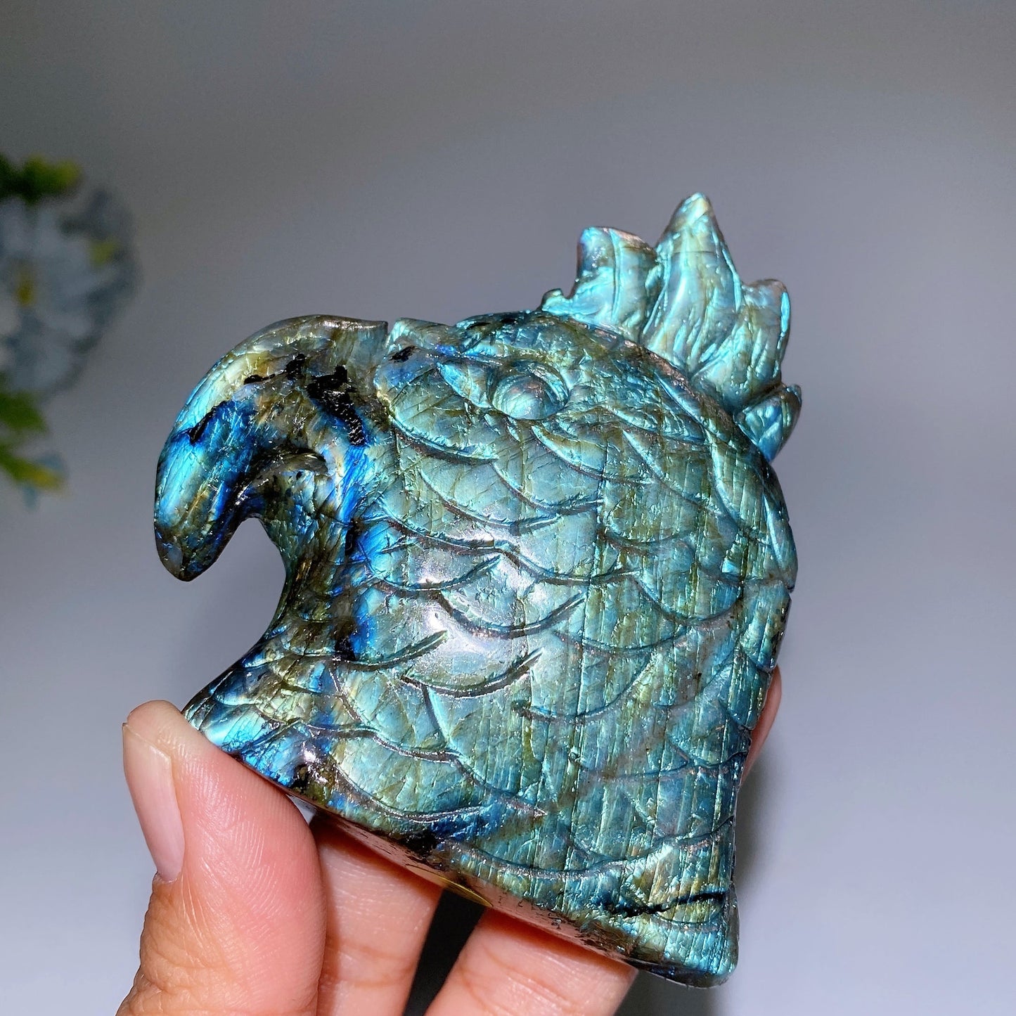 3.3" Labradorite Parrot Head Carving Crystal Healing Bulk Wholesale