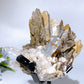 Unique Golden Mica Grow with Aquamarine Black Tourmaline & Quartz Specimen with Stand Crystal Healing Bulk Wholesale