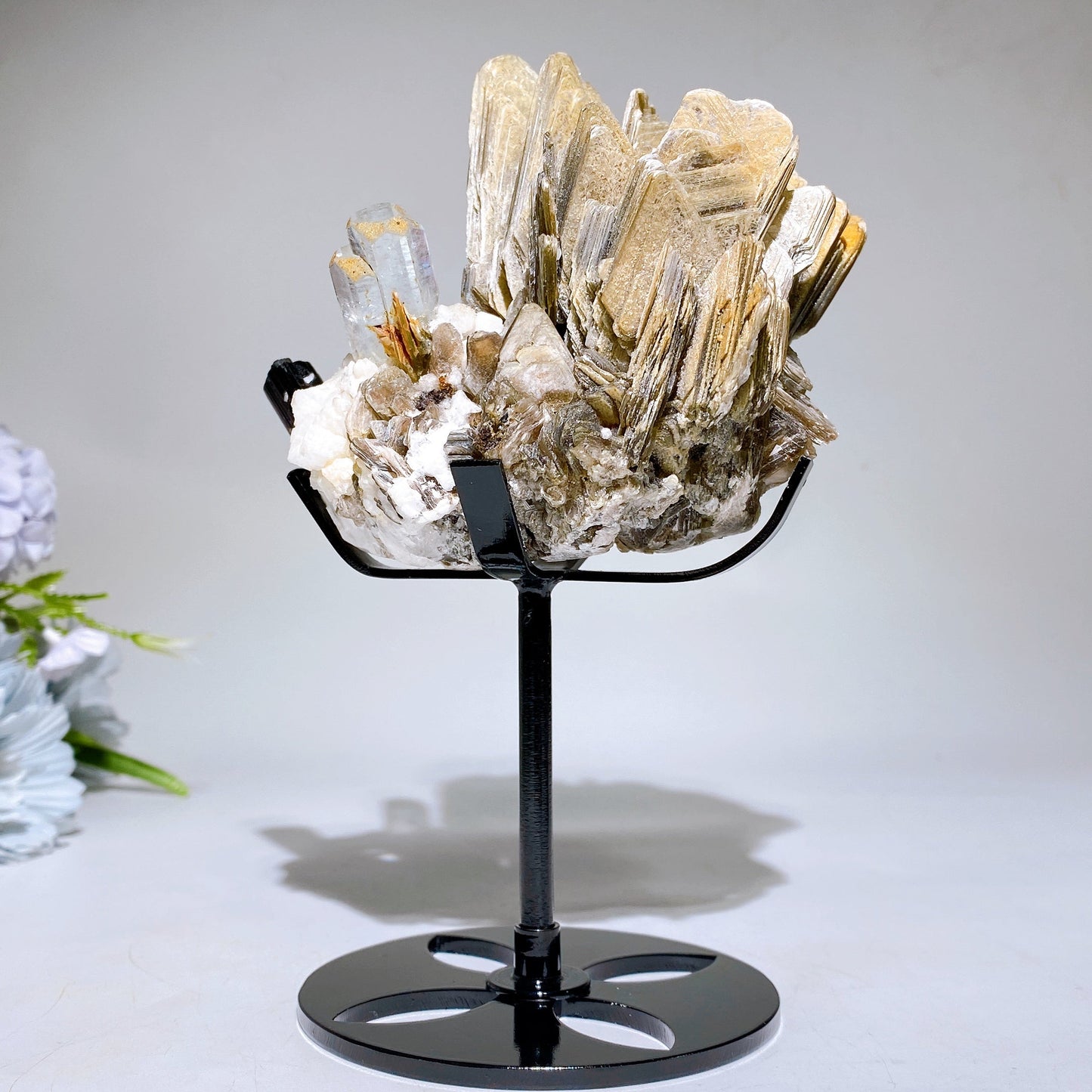 Unique Golden Mica Grow with Aquamarine Black Tourmaline & Quartz Specimen with Stand Crystal Healing Bulk Wholesale