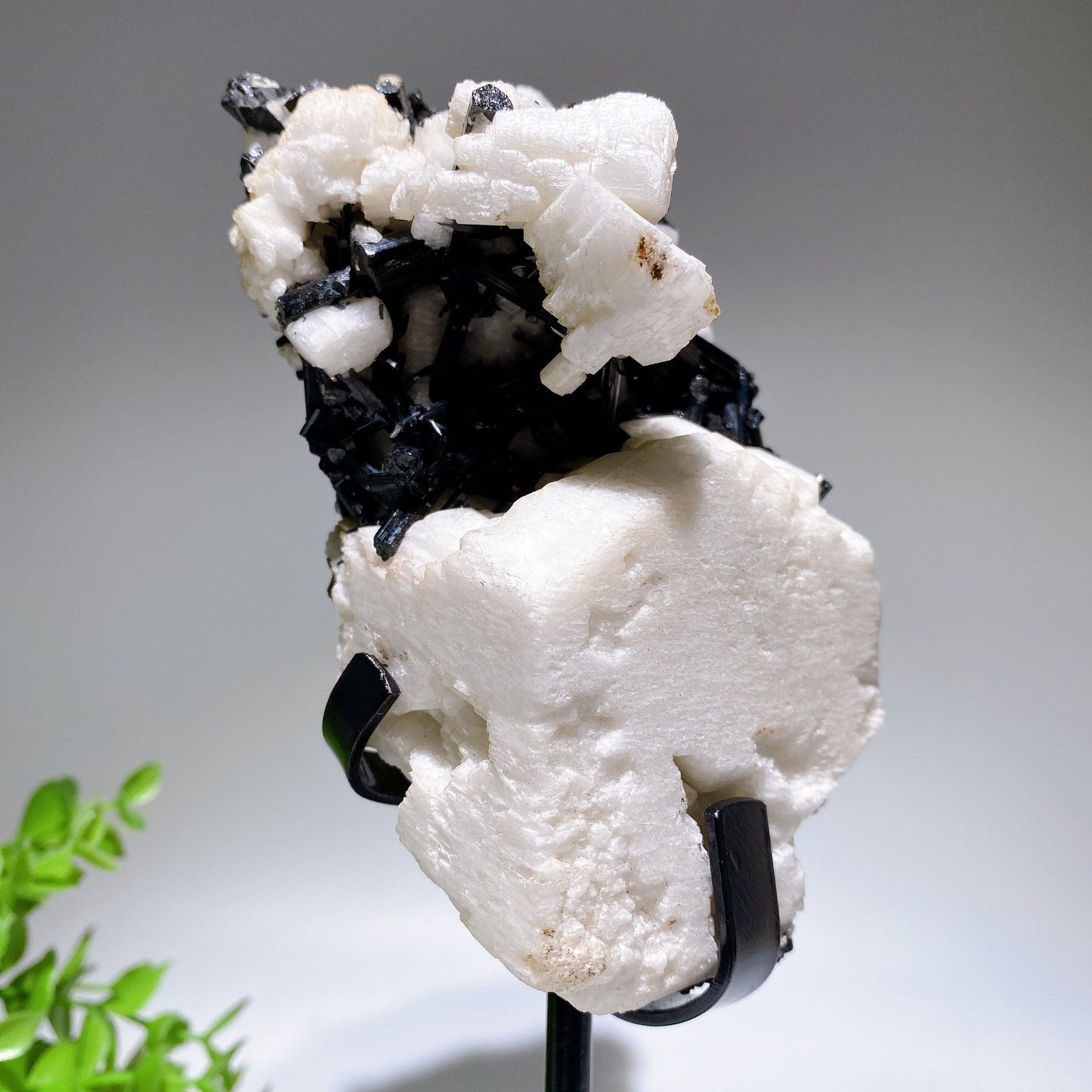 Unique 18cm Black Tourmaline In Feldspar Specimen with Stand