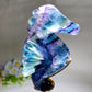 Rainbow Fluorite Seahorse Carving with Stand Crystal Healing Bulk Wholesale