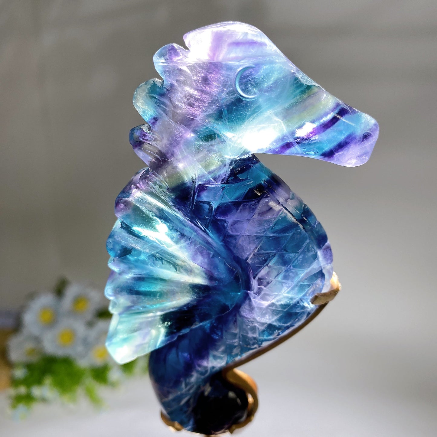 Rainbow Fluorite Seahorse Carving with Stand Crystal Healing Bulk Wholesale