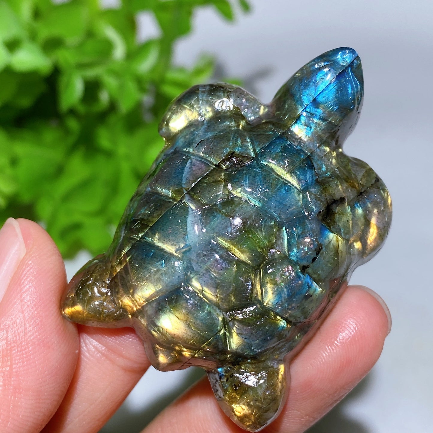 2.0" Labradorite Turtle Carving Crystal Healing Bulk Wholesale