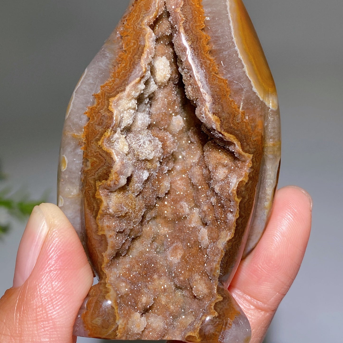 3.2" Unique Druzy Agate in Quartz Penguin Carving Crystal Healing Bulk Wholesale