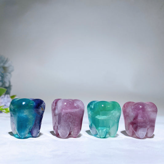 1.2" Fluorite Tooth Carving Crystal Healing Bulk Wholesale