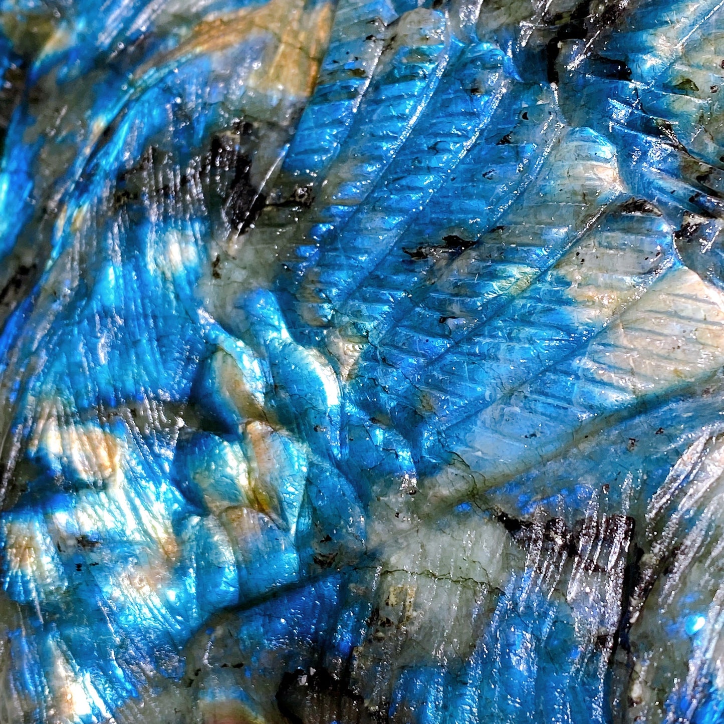 28cm Large Unique Labradorite Smilodon with Wings Carving Crystal Healing Bulk Wholesale