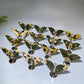 Ocean Jasper Butterfly Wings Carving with Stand Crystal Healing Bulk Wholesale