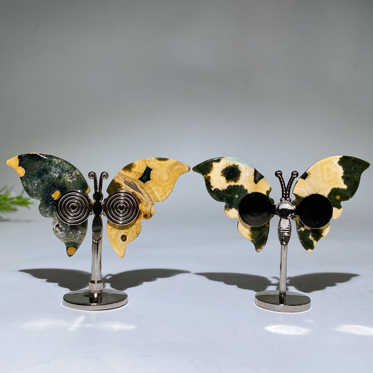 Ocean Jasper Butterfly Wings Carving with Stand Crystal Healing Bulk Wholesale