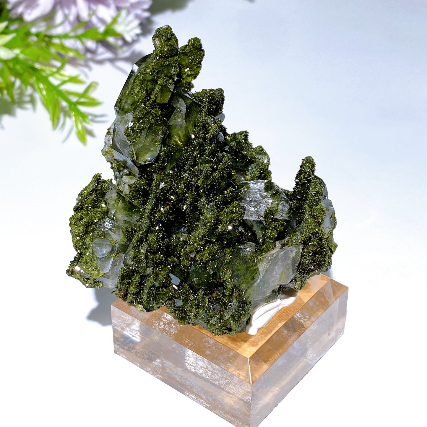 Forest Epidote with Quartz Specimen Crystal Healing Bulk Wholesale