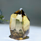 2.5" Unique Blue Needle in Citrine with Rainbow Point Crystal Healing Bulk Wholesale