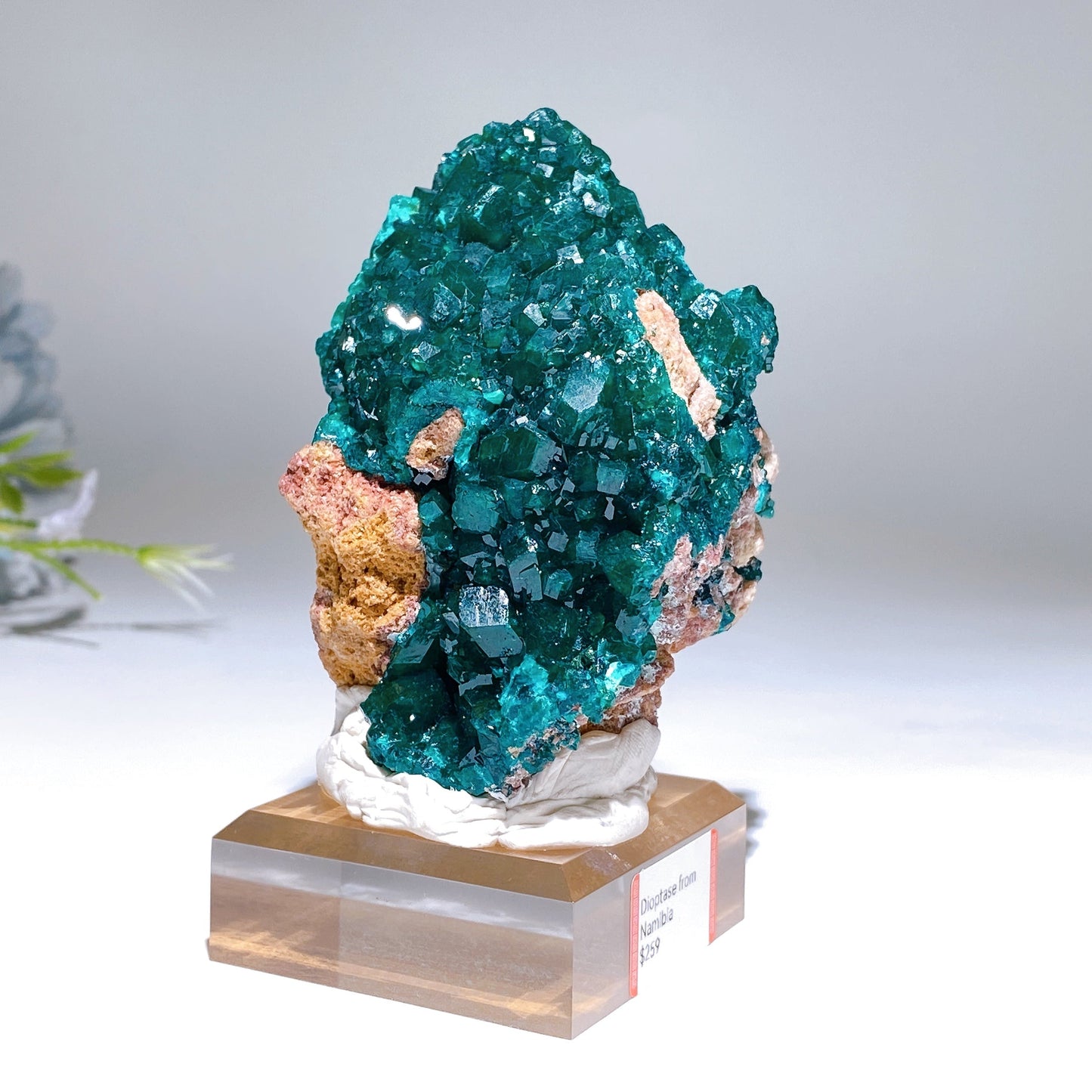 Unique Dipotase from Namibia Specimen Crystal Healing Bulk Wholesale