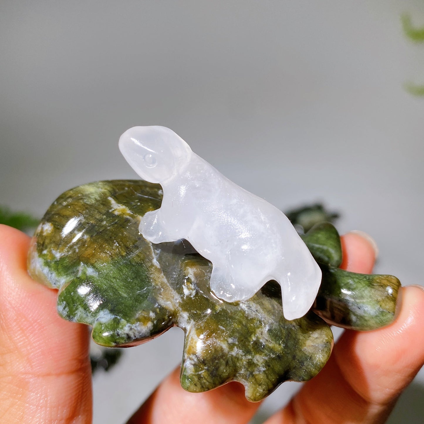 2.7" Crystal Dinosaur on Leaf Carving Crystal Healing Bulk Wholesale