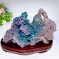 23cm Large unique Grape Agate Specimen with Free Wooden Stand Crystal Healing Bulk Wholesale
