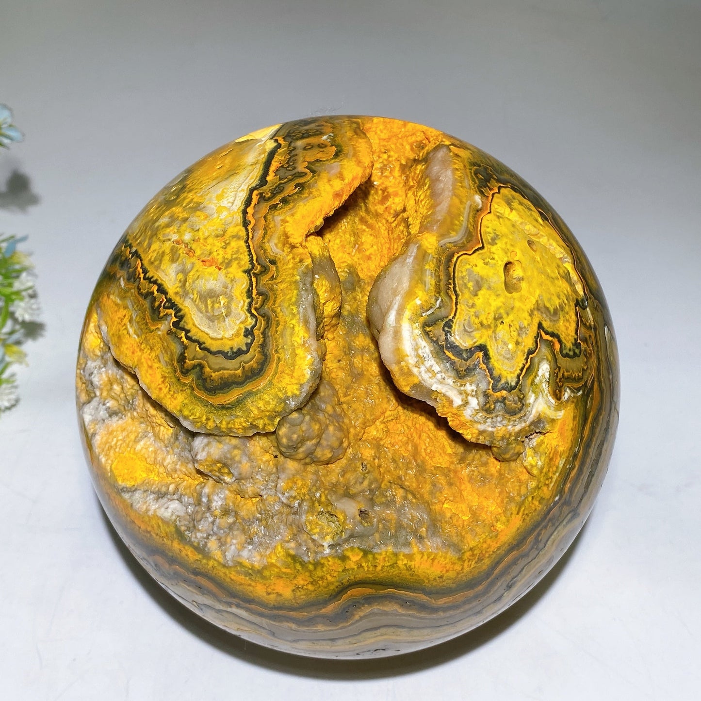 15cm Unique Large Bumble Bee Jasper Sphere Crystal Healing Bulk Wholesale