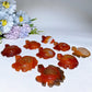 2.0"-2.2" Carnelian Turtle Carving Crystal Healing Bulk Wholesale