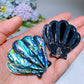 2.0" Abalone Shell Brooch Pendant Shell Shape Crystal Healing Bulk Wholesale