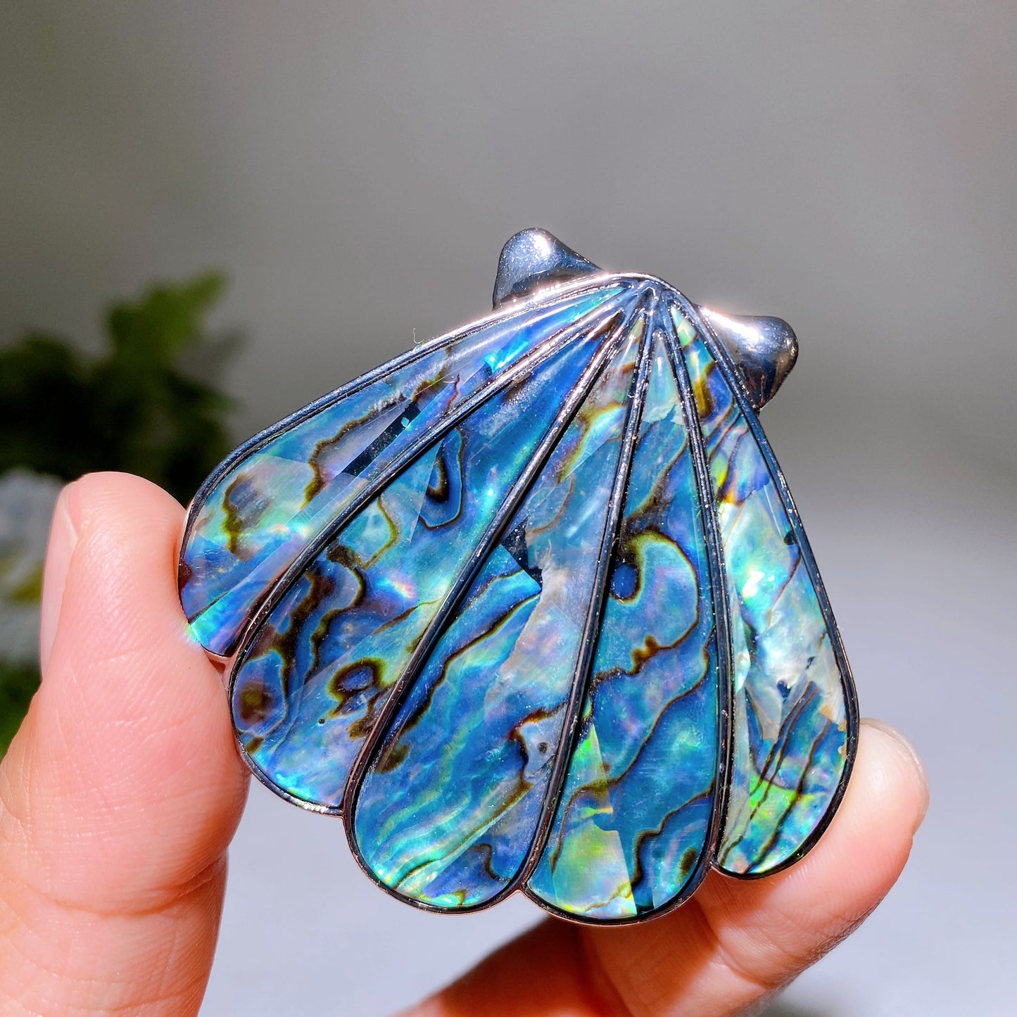 2.0" Abalone Shell Brooch Pendant Shell Shape Crystal Healing Bulk Wholesale