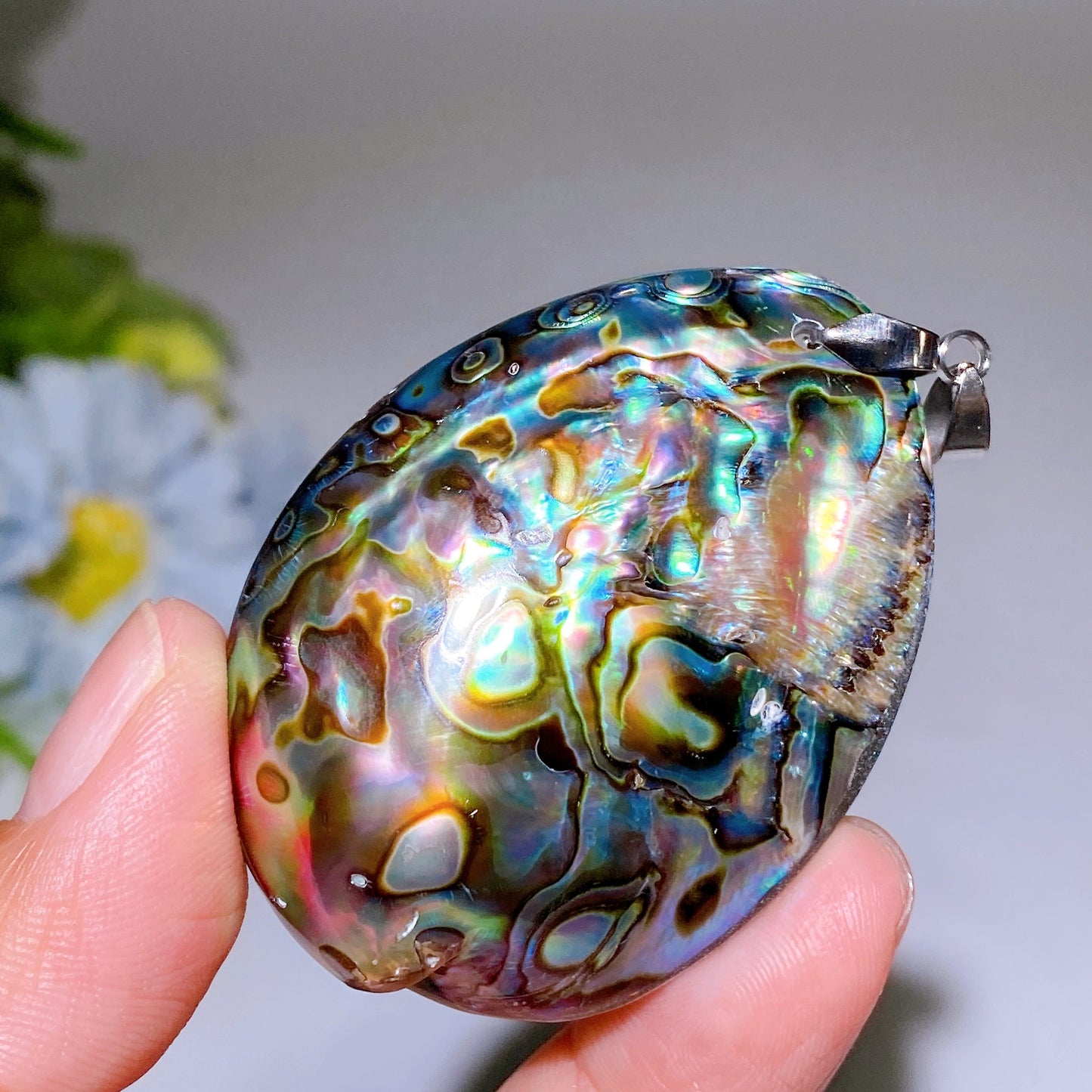 2.1" Abalone Shell Pendant Crystal Healing Bulk Wholesale