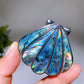 2.0" Abalone Shell Brooch Pendant Shell Shape Crystal Healing Bulk Wholesale