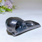 3.8" Schungite Raven Skull Carving Crystal Healing Bulk Wholesale