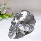 3.7"-3.9" Garnet Shell Stone Skull Carving Crystal Healing Bulk Wholesale