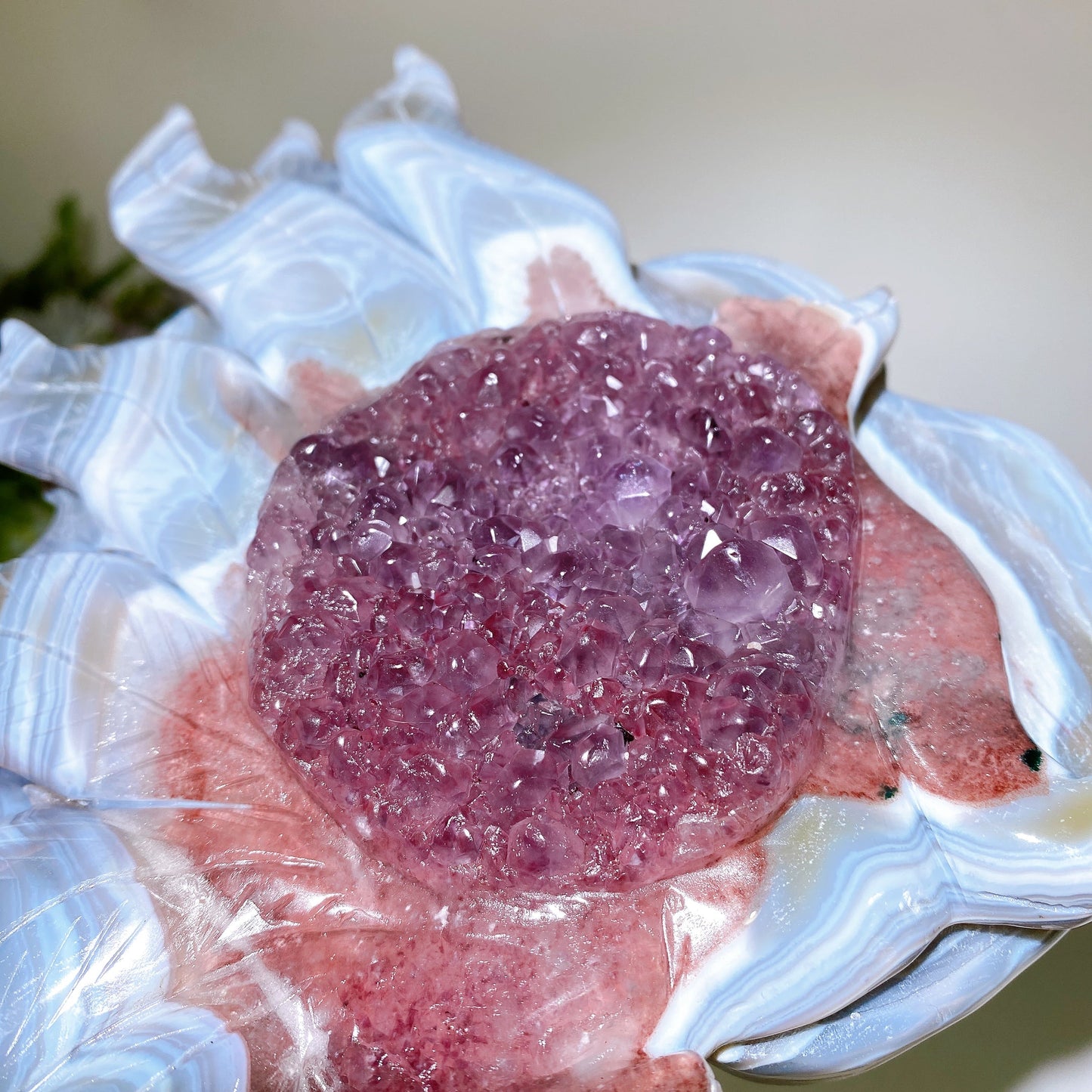 19cm Unique Striped Agate Growing with Amethyst Cluster Nine-tails Fox Carving Crystal Healing Bulk Wholesale