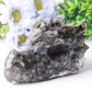 5.5" Large Resin Dragon Head Figurines Wholesale Crystals