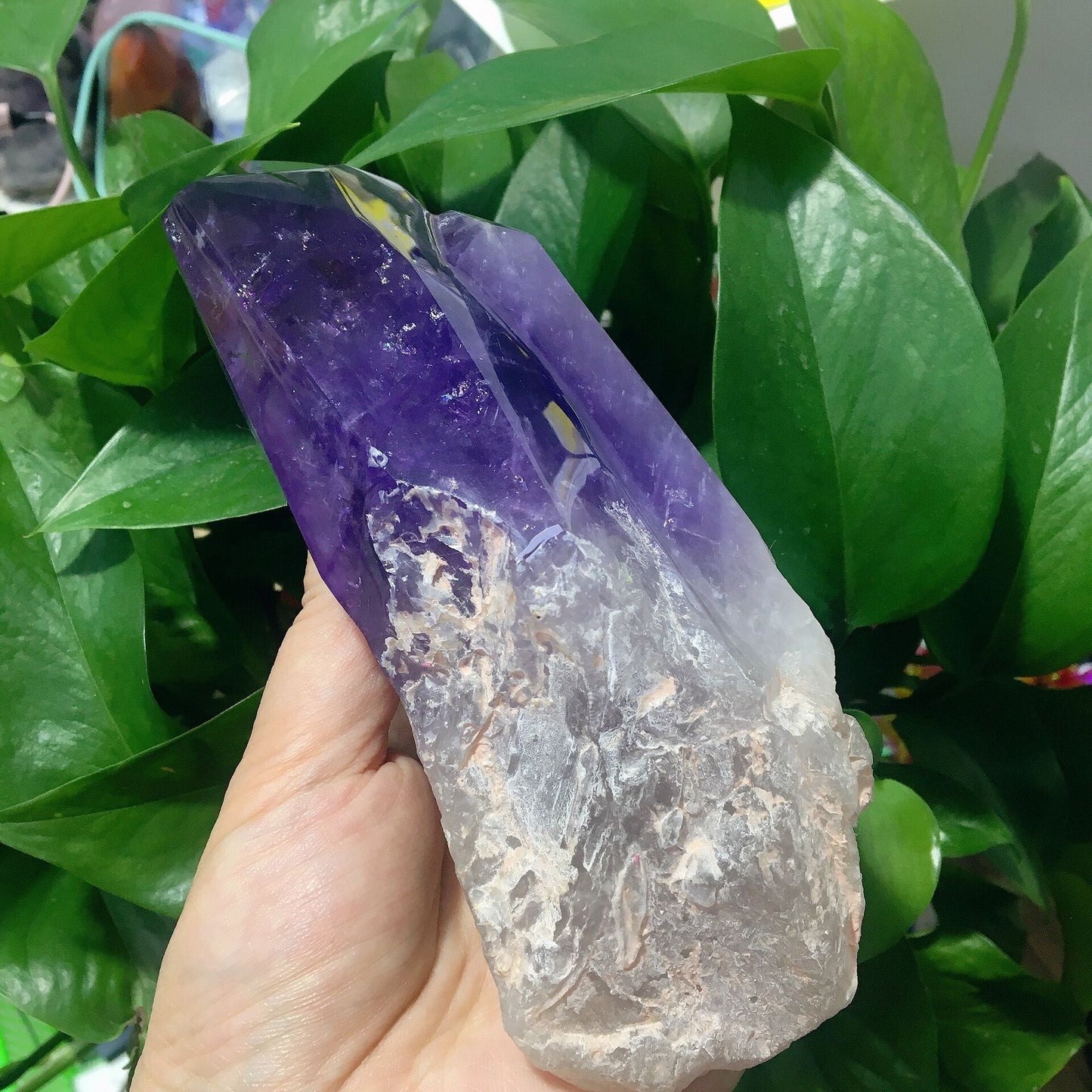 Dark Purple Amethyst Double Points Half Polished #4 Wholesale Crystals