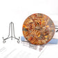 Ammonite Round Plate Free Form Full Set Wholesale Crystals