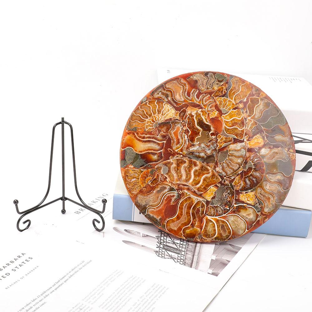 Ammonite Round Plate Free Form Full Set Wholesale Crystals