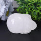 Clear Quartz Crystal Skull Carvings Wholesale Crystals