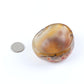 Irregular Carnelian Bowl Free Form Wholesale Crystals