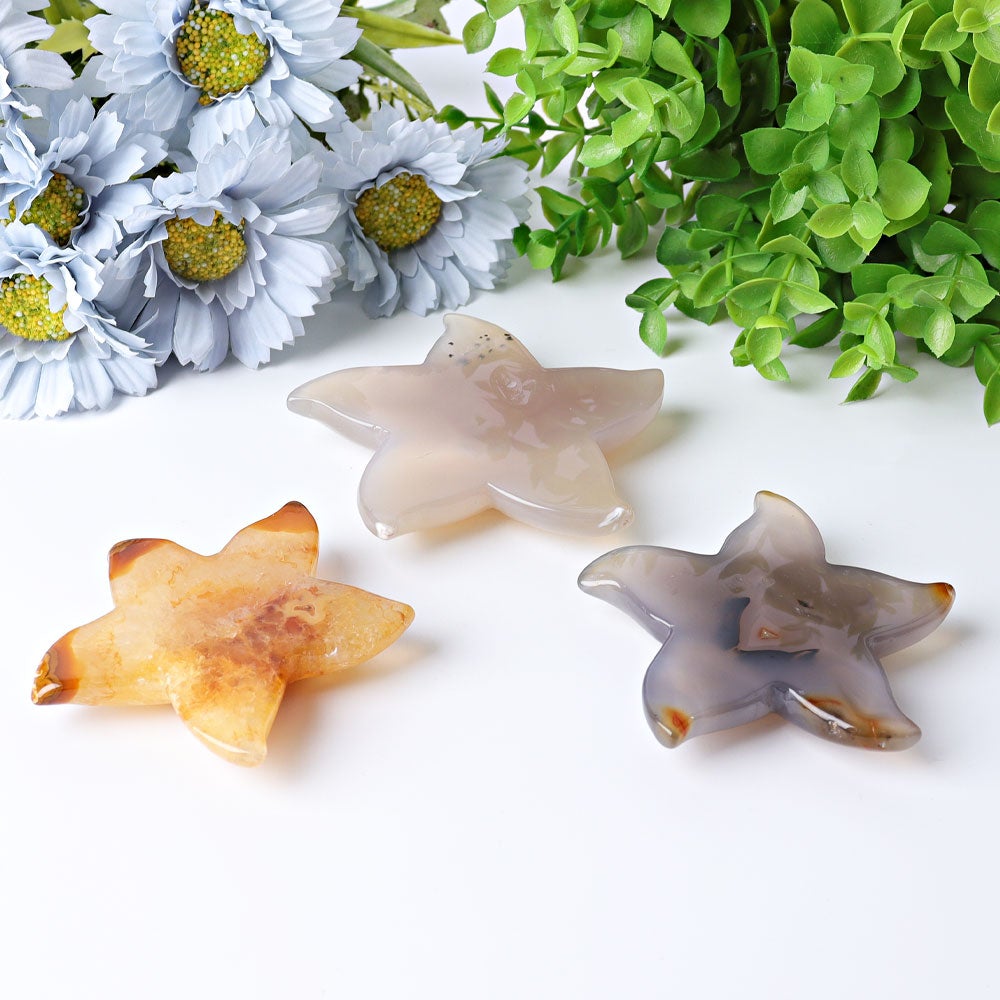 3.0"-3.5" Druzy Agate Starfish Crystal Carvings Wholesale Crystals