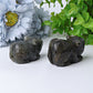 2.3" Labradorite Mouse Crystal Carvings Wholesale Crystals