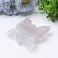 3.6" Fluorite Butterfly Fairy Crystal Carvings Wholesale Crystals