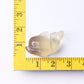 2.5" Fluorite Dolphin Crystal Carvings Wholesale Crystals