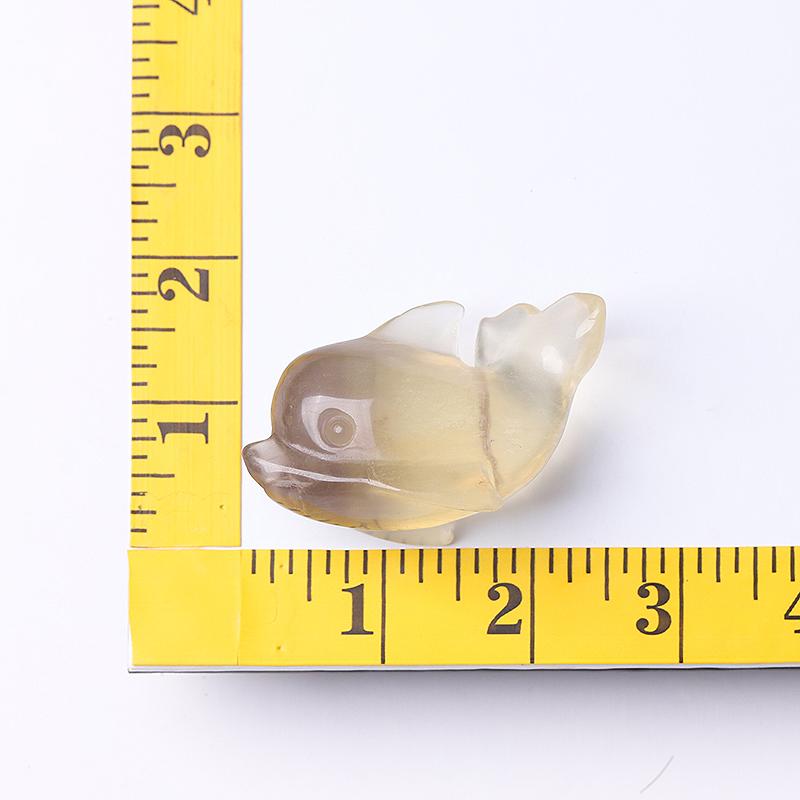 2.5" Fluorite Dolphin Crystal Carvings Wholesale Crystals