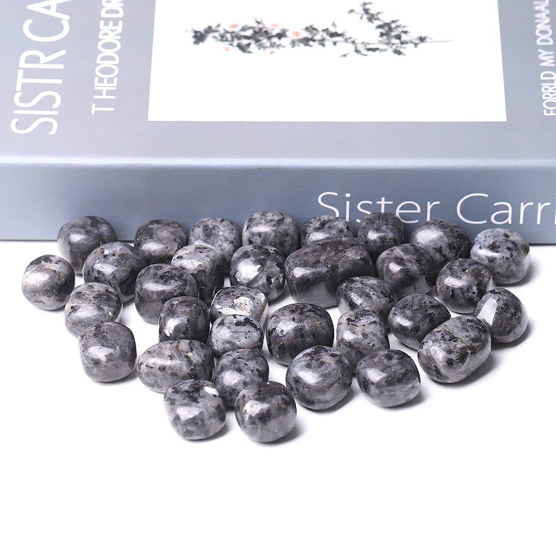 0.1kg Larvikite Crystal Tumbles Wholesale Crystals