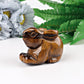 2.4" Tiger's Eye Rabbit Crystal Carving Wholesale Crystals