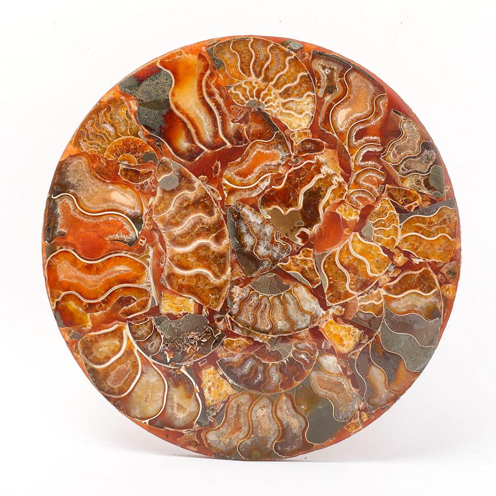 Ammonite Round Plate Free Form Full Set Wholesale Crystals