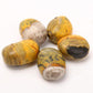 Bumblebee Jasper Tumbled Stone Set of 5 Palm stones Wholesale Crystals