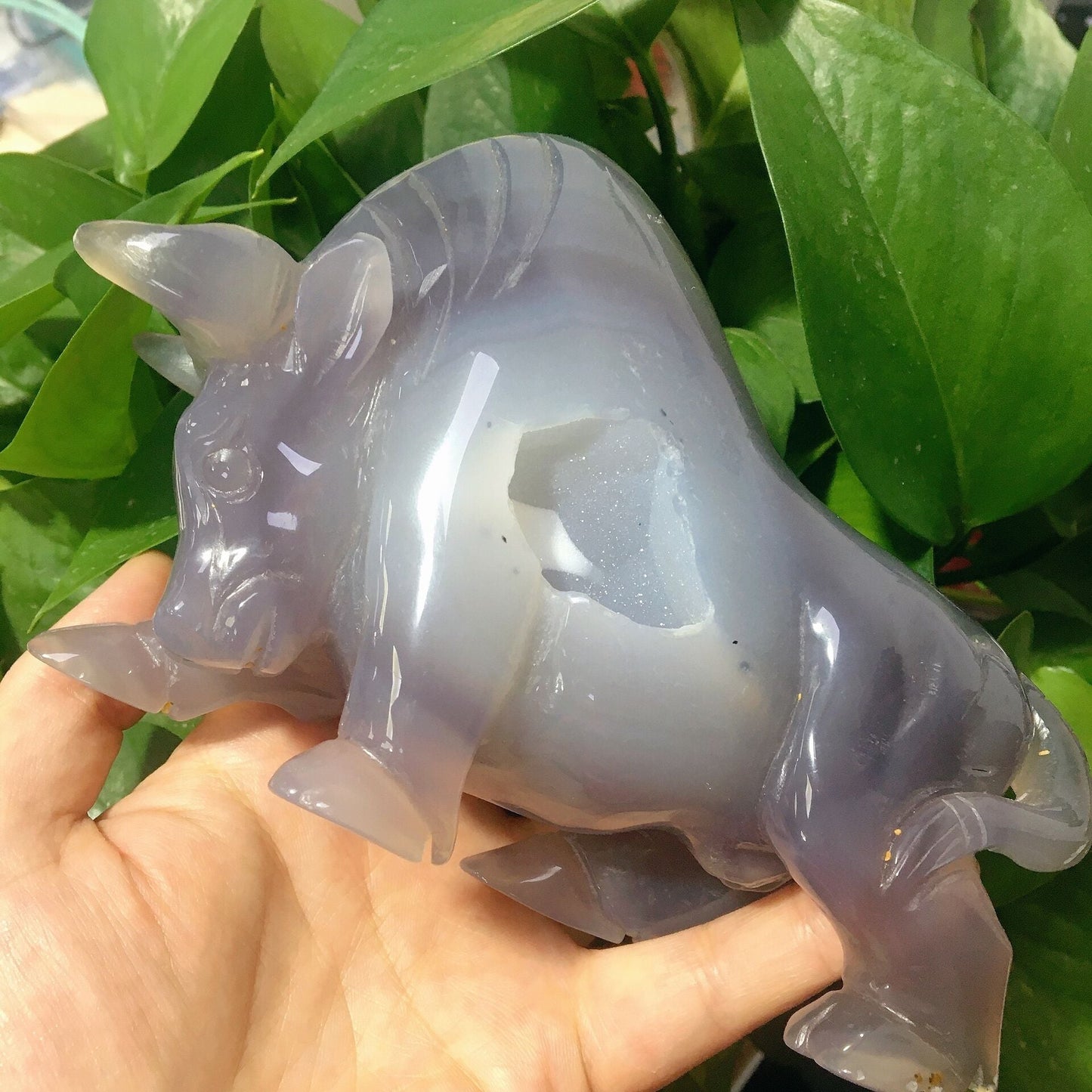 6" Druzy Agate Bull for Collection Wholesale Crystals