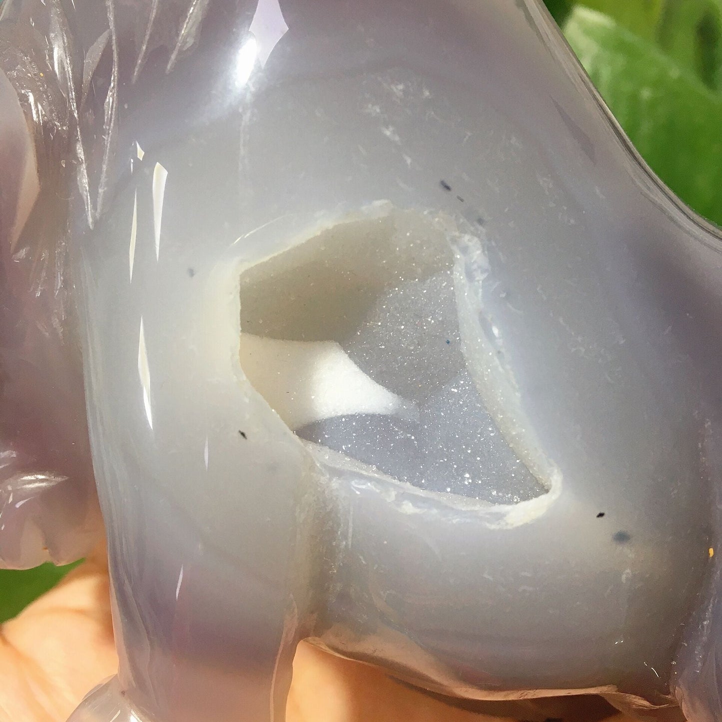 6" Druzy Agate Bull for Collection Wholesale Crystals