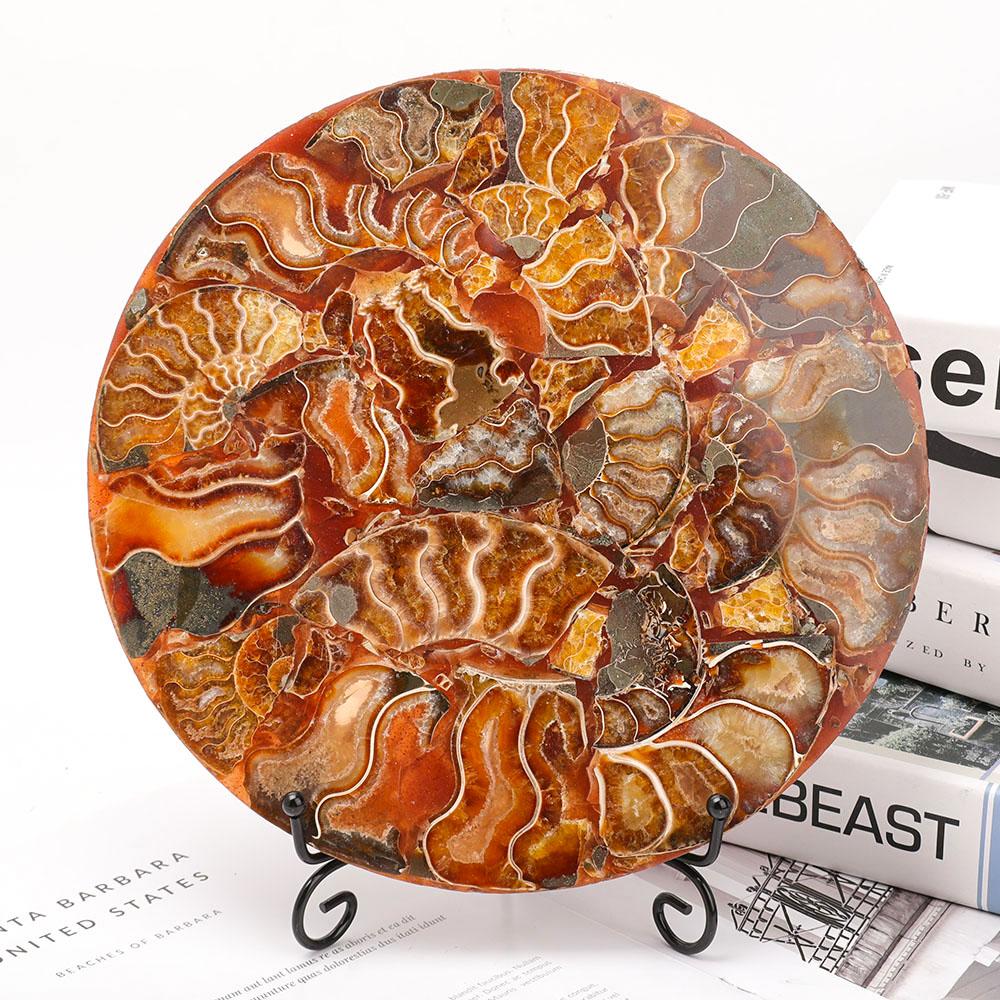 Ammonite Round Plate Free Form Full Set Wholesale Crystals