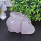 Fluorite Crystal Skull Carvings Wholesale Crystals
